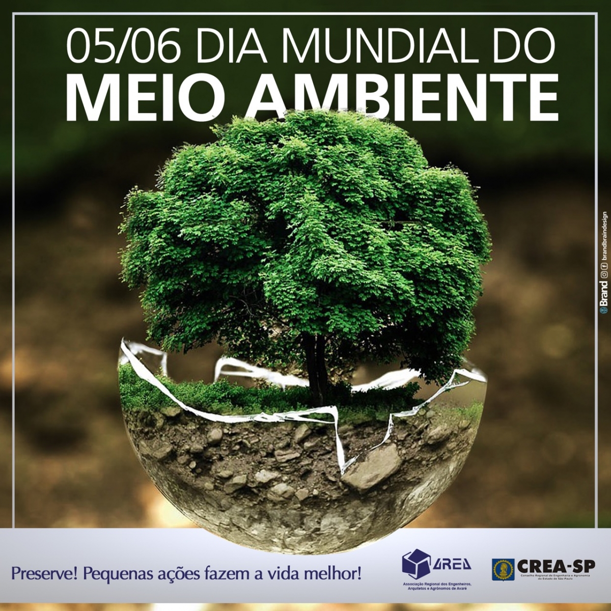 Area Dia Mundial Do Meio Ambiente
